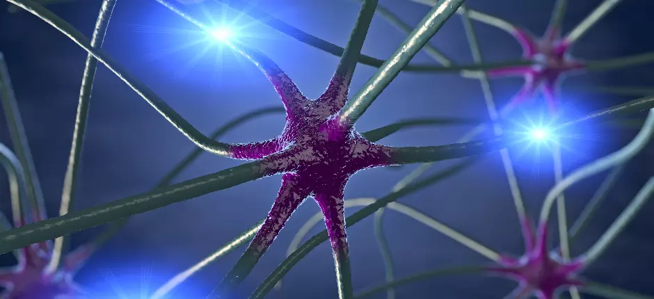 Epilepsia: la importancia del diagnóstico precoz y tratamiento adecuado