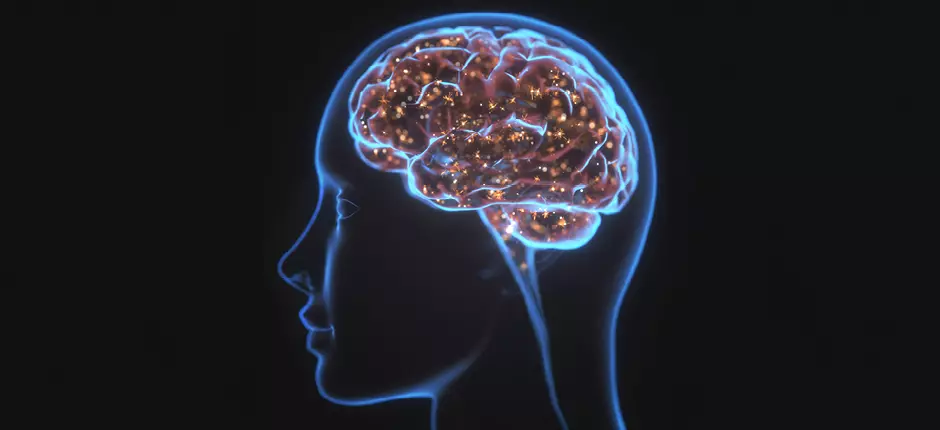 ¿Qué hacer frente a las temidas crisis de epilepsia?