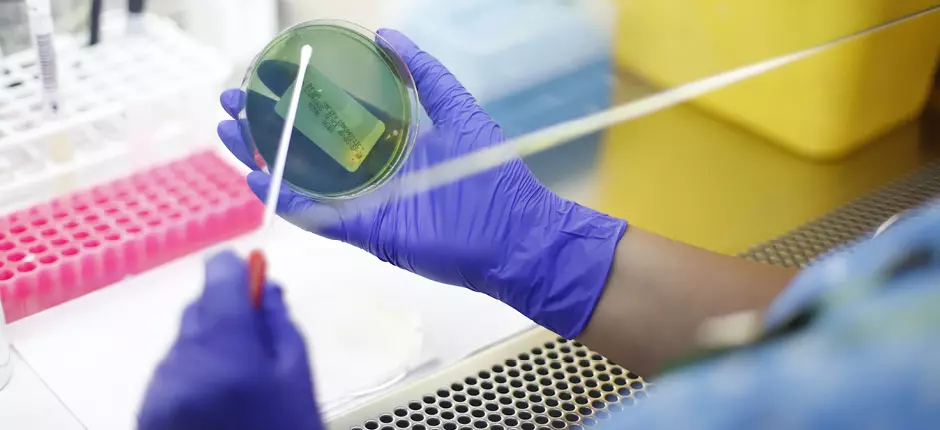 Innovación en tratamiento para mieloma múltiple