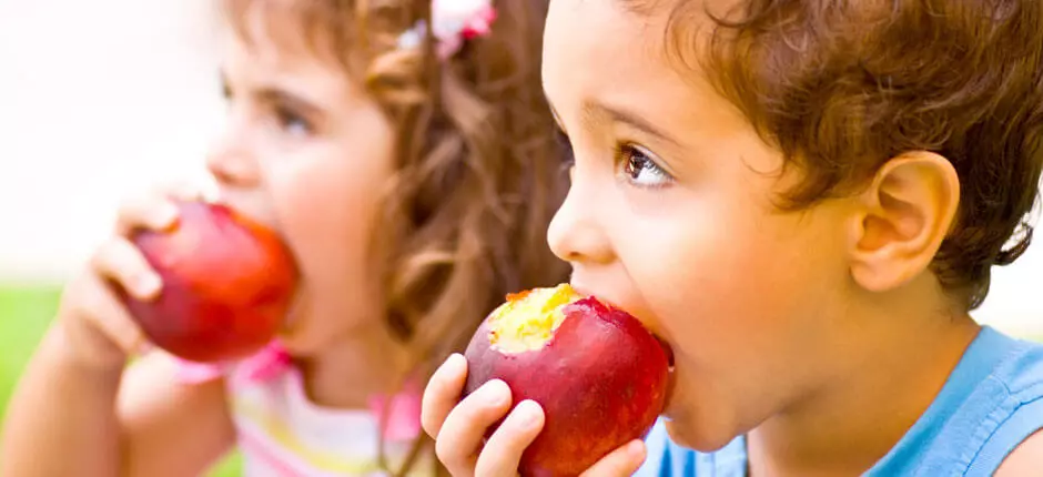 Colaciones saludables en este inicio de año escolar