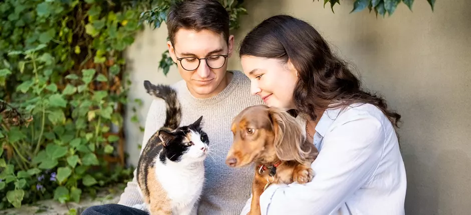 ¿Vives con perros o gatos? Lo que debes saber sobre la alergia a las mascotas