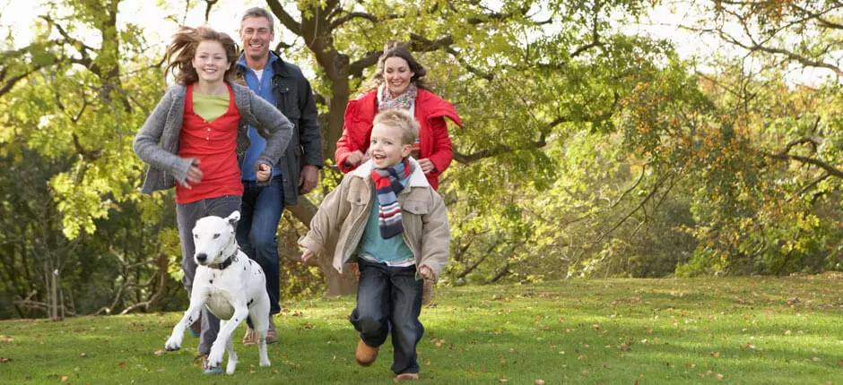 11 beneficios de hacer ejercicio