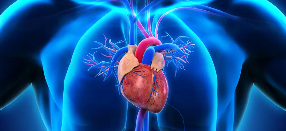 Arritmias: cuando el corazón se agita