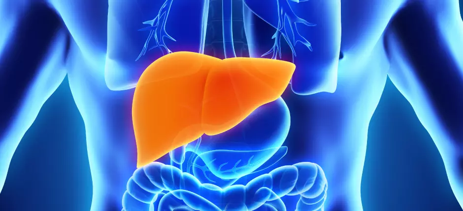 Hepatitis: qué tipos existen y cómo prevenir esta enfermedad