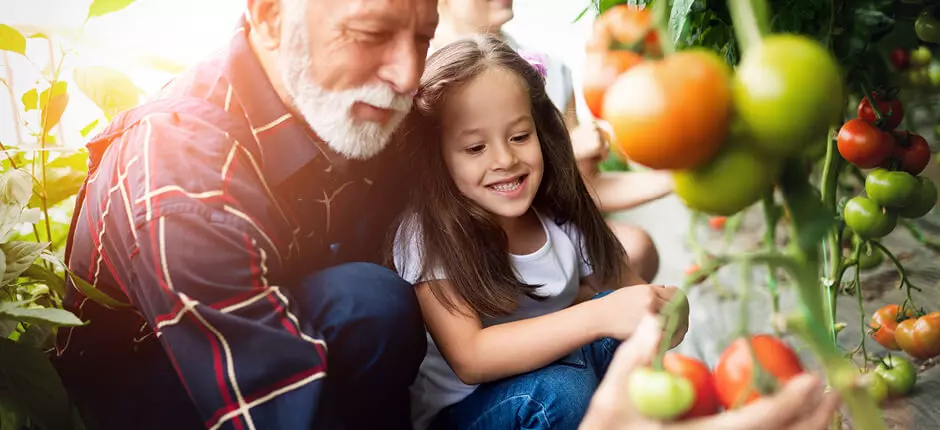 La importancia de los abuelos en la vida de los nietos