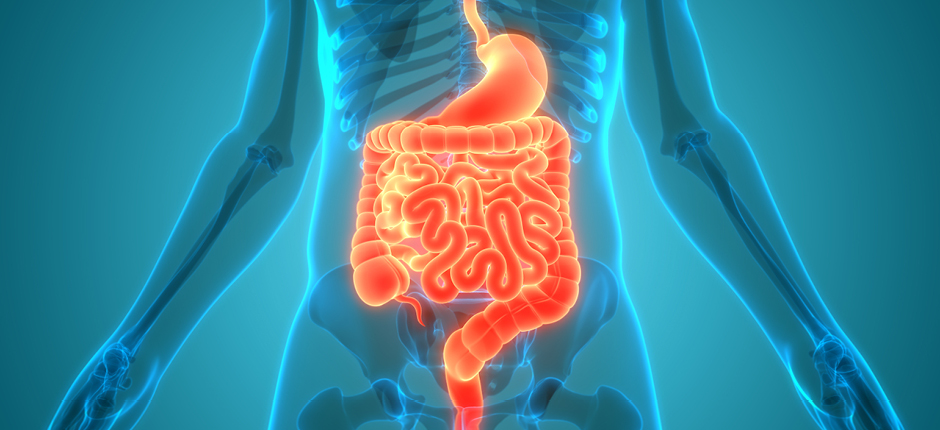Enfermedad inflamatoria intestinal: más que un dolor abdominal
