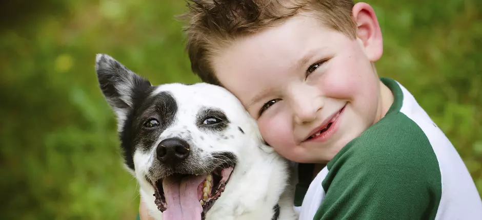 Otoplastía: la cirugía para corregir el tamaño y forma de las orejas