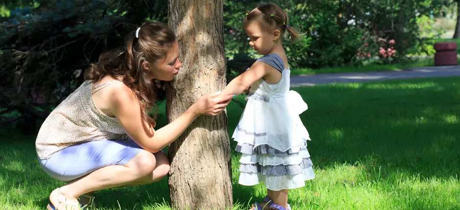 ¿Cuándo son peligrosas las picaduras de insectos?