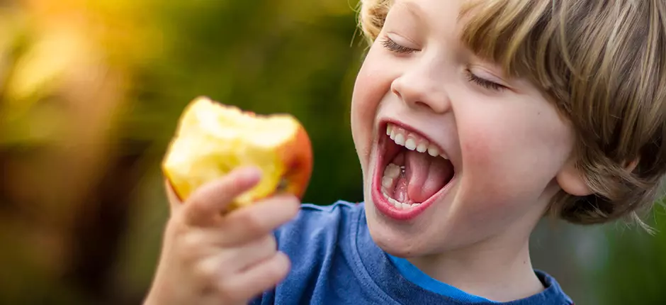Conoce las propiedades de las frutas de verano