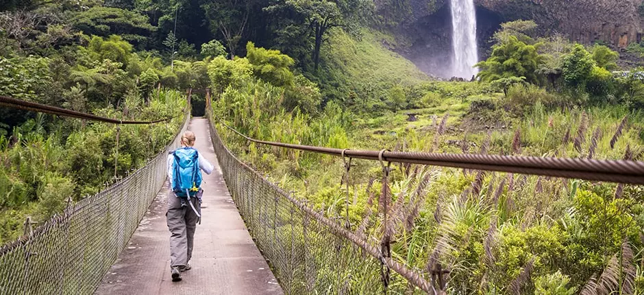 Dengue: ¿cómo prevenir el contagio y reconocer sus síntomas?